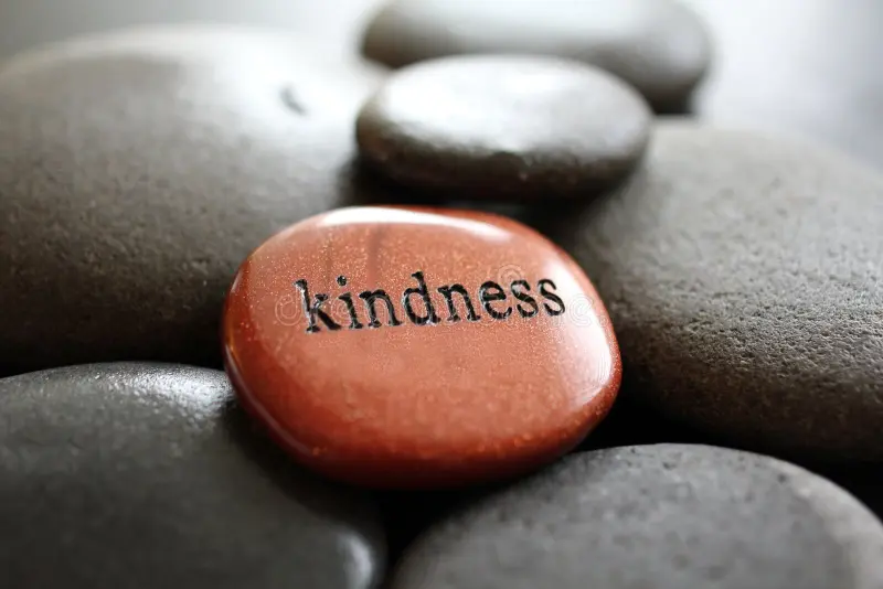 The Neurology of Kindness