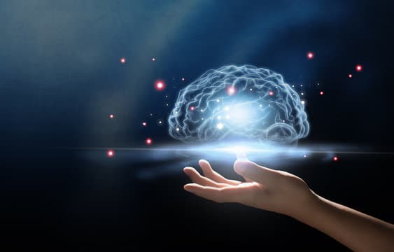 EMBRACE AI IN YOUR DAILY LIFE